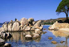 探索论坛世界的乐趣！天涯论坛经济论坛论坛，真的是好多话题都聊不完啊，大家在线上分享生活、讨论经济，感觉像一个大家庭，亲亲热热的。